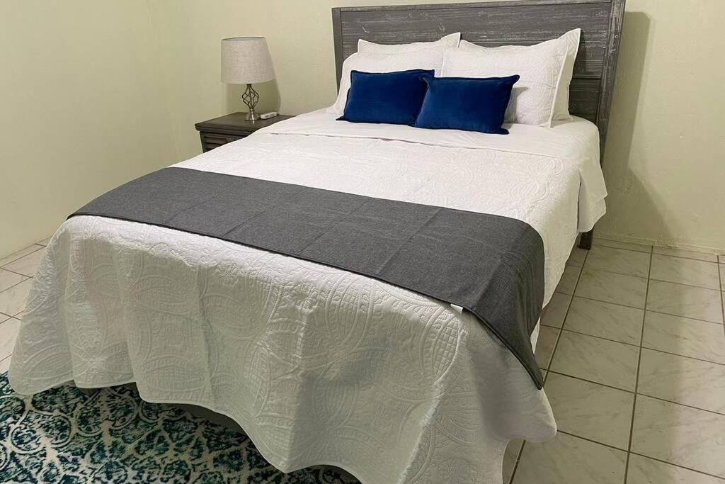 Beautiful Caribbean 3 Bedroom Home In St. Croix Christiansted Zewnętrze zdjęcie